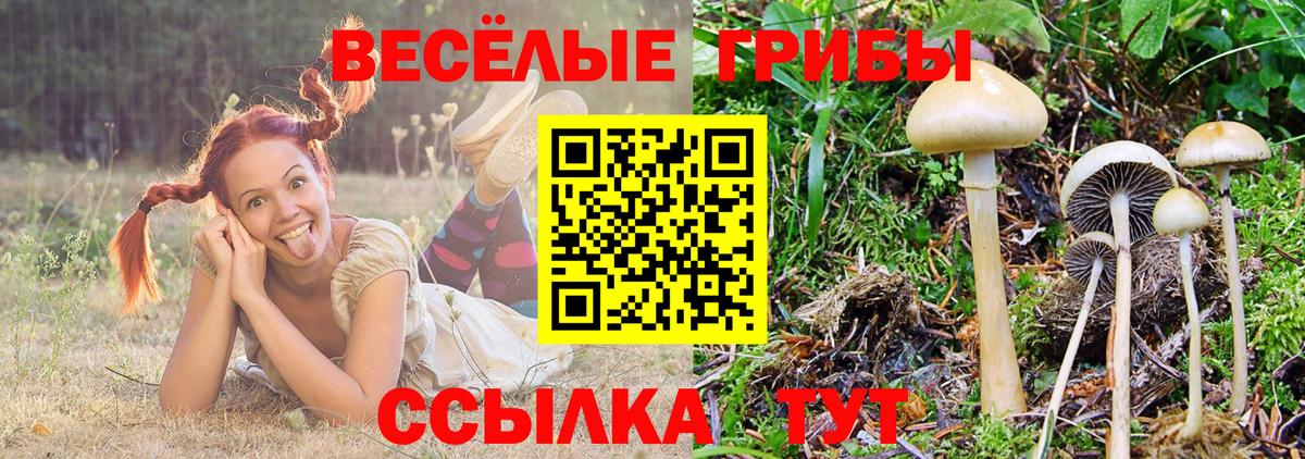 Солнечногорск  Псилоцибиновые грибы Magic Shrooms  Галлюциногенные грибы Magic Shrooms  Вход с VPN 